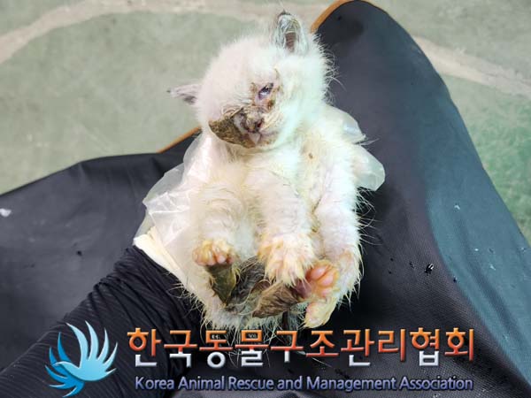 종료(자연사) 한국…